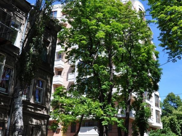 ЖК "Біла Акація"