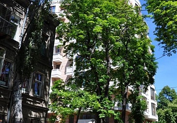 BELAYA ACACIA (White Robinia) Residential Compound